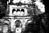 IIP Online Student Photography