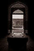 IIP Online Student Photography