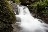 IIP Online Student Photography