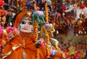 IIP Online Student Photography