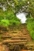 IIP Online Student Photography