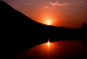 IIP Online Student Photography