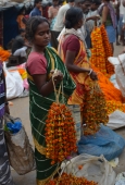 IIP Online Student Photography