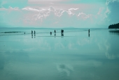 IIP Online Student Photography