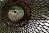 IIP Online Student Photography