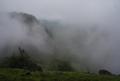 IIP Online Student Photography