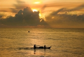 IIP Online Student Photography
