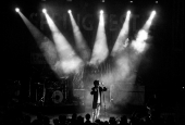 IIP Online Student Photography