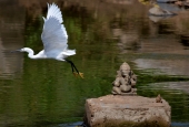 IIP Online Student Photography