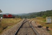 IIP Online Student Photography