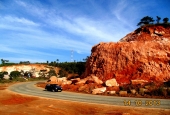 IIP Online Student Photography
