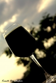 IIP Online Student Photography