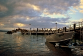 IIP Online Student Photography