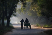 IIP Online Student Photography