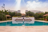 IIP Online Student Photography