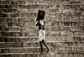 IIP Online Student Photography