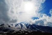 IIP Online Student Photography