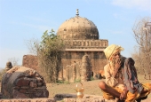 IIP Online Student Photography