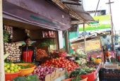 IIP Online Student Photography