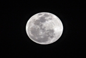 IIP Online Student Photography