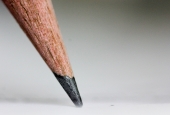 IIP Online Student Photography