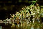 IIP Online Student Photography