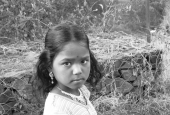 IIP Online Student Photography