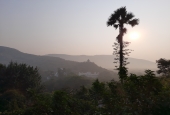 IIP Online Student Photography