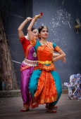 IIP Online Student Photography