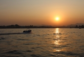 IIP Online Student Photography