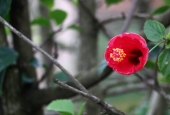 IIP Online Student Photography