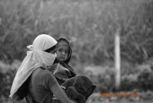 IIP Online Student Photography