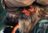 IIP Online Student Photography