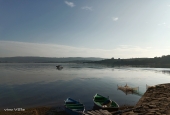 IIP Online Student Photography
