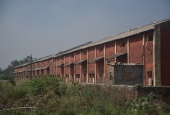 IIP Online Student Photography