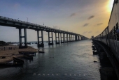 IIP Online Student Photography