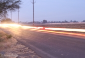 IIP Online Student Photography