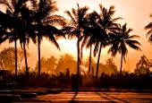 IIP Online Student Photography