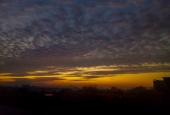 IIP Online Student Photography