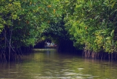 IIP Online Student Photography