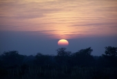 IIP Online Student Photography