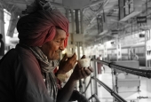 IIP Online Student Photography