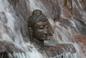 IIP Online Student Photography
