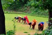 IIP Online Student Photography
