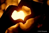 IIP Online Student Photography