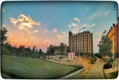 IIP Online Student Photography