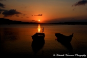 IIP Online Student Photography