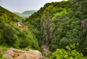 IIP Online Student Photography