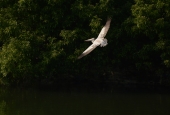IIP Online Student Photography