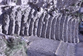 IIP Online Student Photography